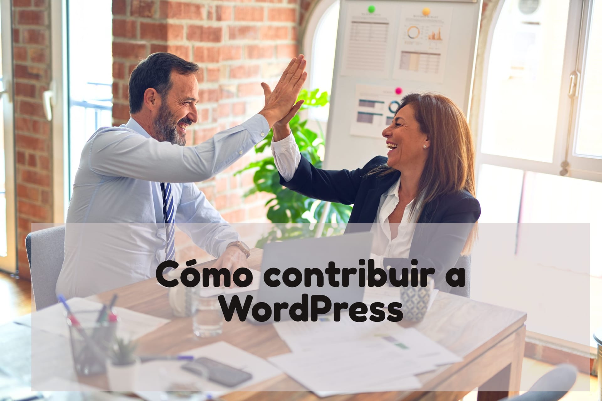 Cómo contribuir a WordPress