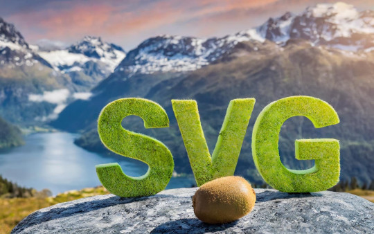 Optimiser le poids des images SVG